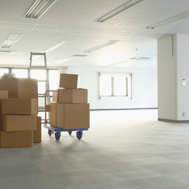 Moving & Junk Removal in Milwaukee, WI